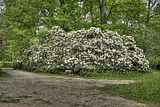 tannenfeld-sommer 2012-057